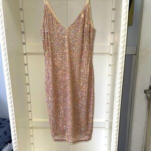 Bella dress new white tag Sequin Embellished Dress
